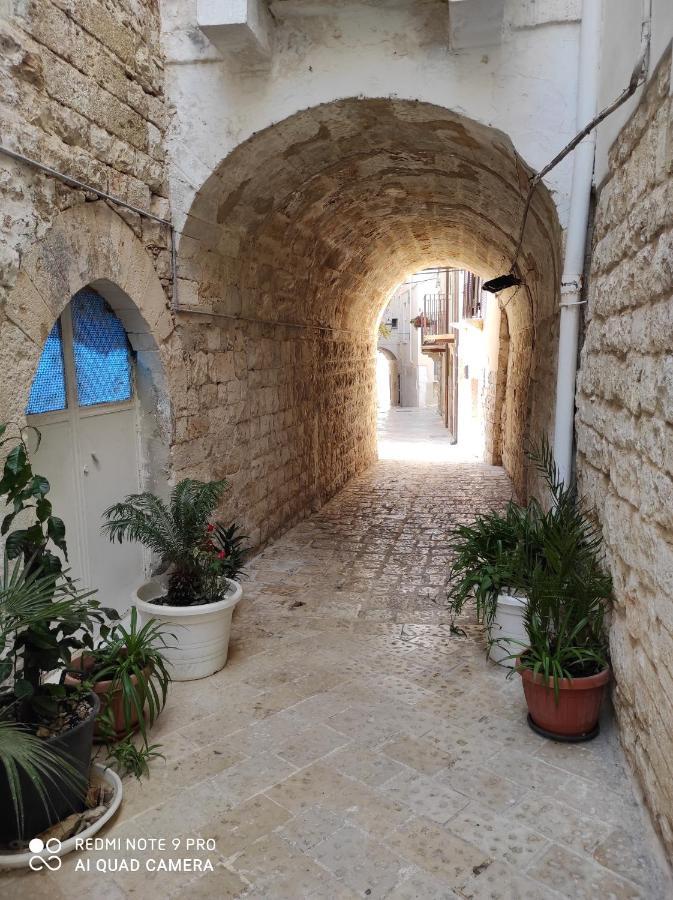 Ferienhaus Il Tufo D'amare Affitti Brevi